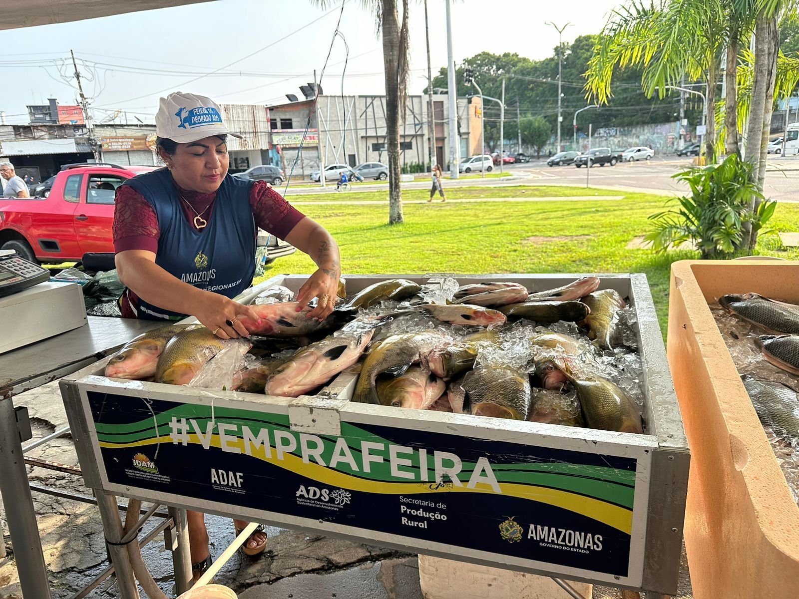 Feirão do Pescado 2024 comercializou 117 toneladas de peixes em Manaus