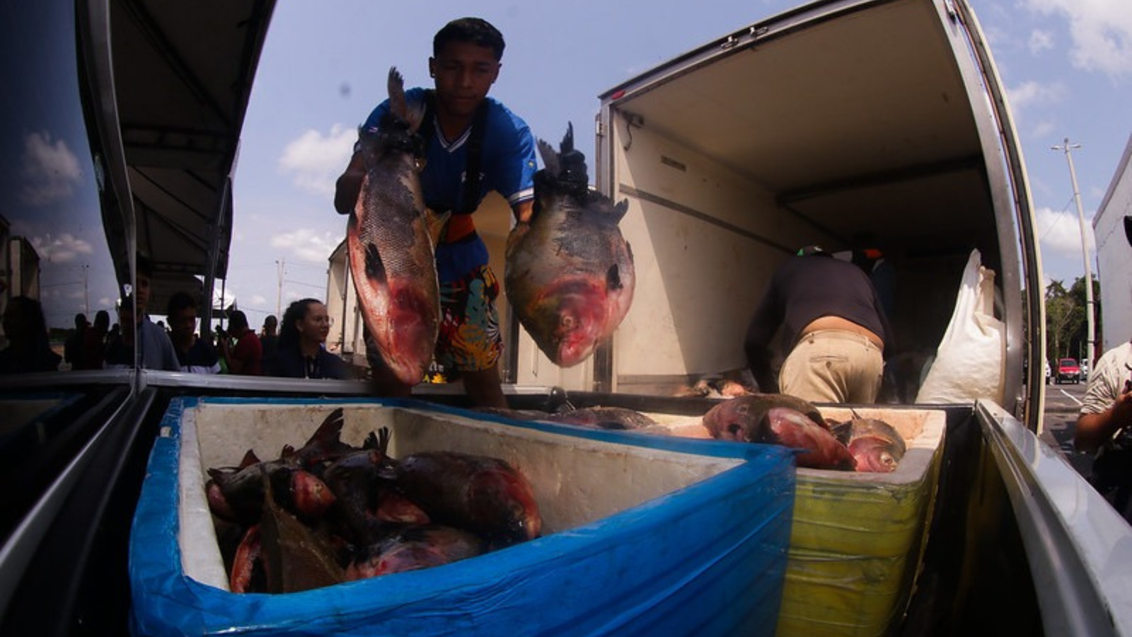 Nesta sexta-feira (29), acontece a doação de peixes - Foto: Diego Peres e Arthur Castro / Secom