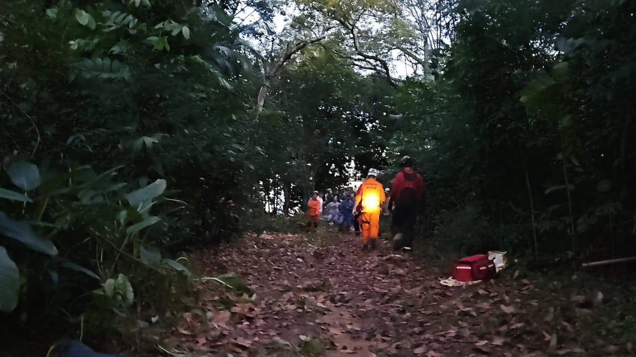 Paraquedista é resgatado por bombeiros após ficar preso em árvore durante salto em área de mata em Manaus - Foto: Reprodução