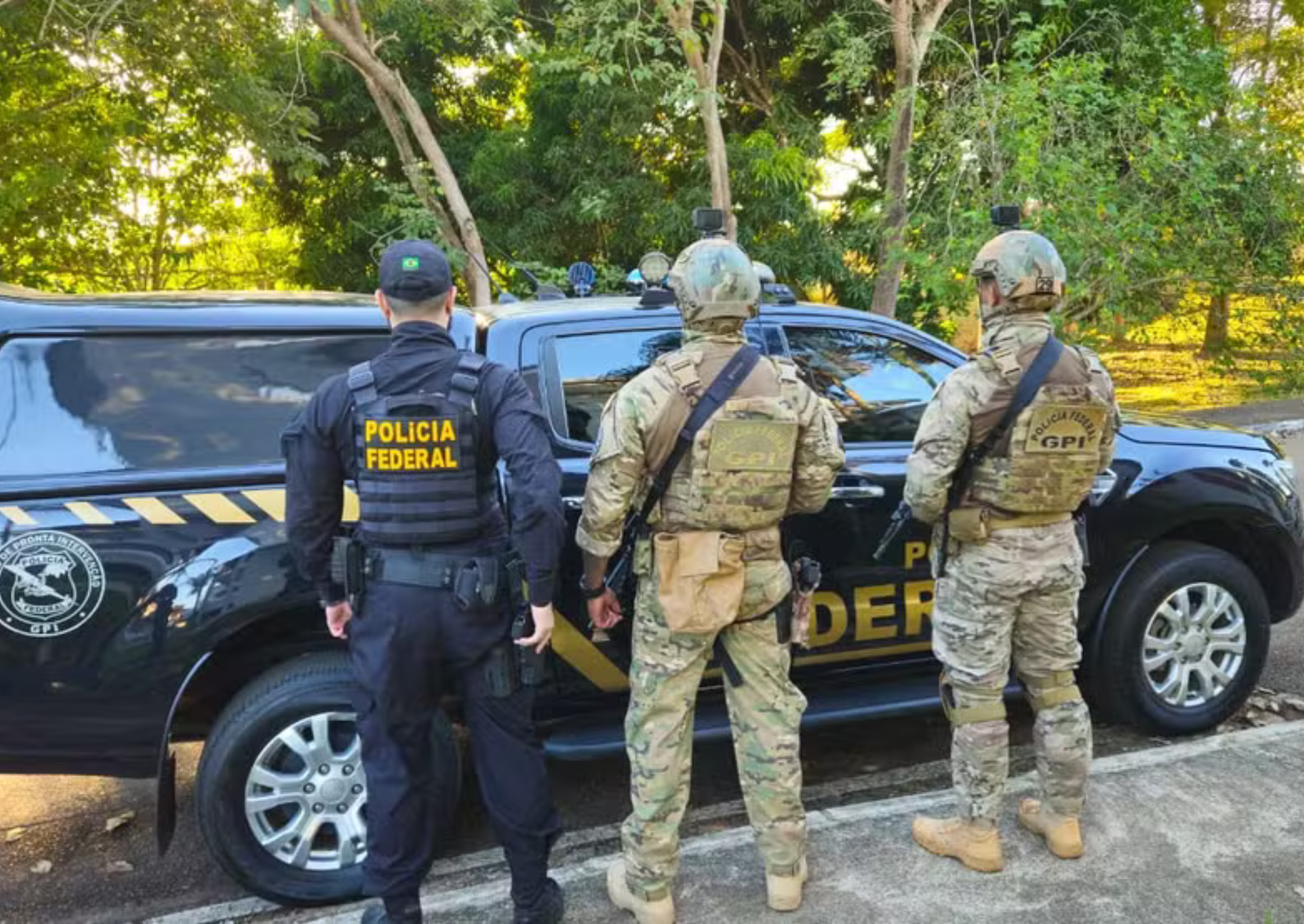 Operação Greenwashing acontece simultaneamente em Rondônia, Amazonas, Mato Grosso, Paraná, Ceará e São Paulo — Foto: Reprodução/Polícia Federal