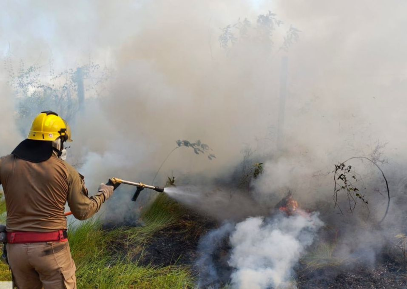 Bombeiros da Operação Aceiro 2024 combatem incêndio de grande proporção próximo ao aeroporto de Manicoré, utilizando 15.800 litros de água - Foto: Divulgação/CBMAM