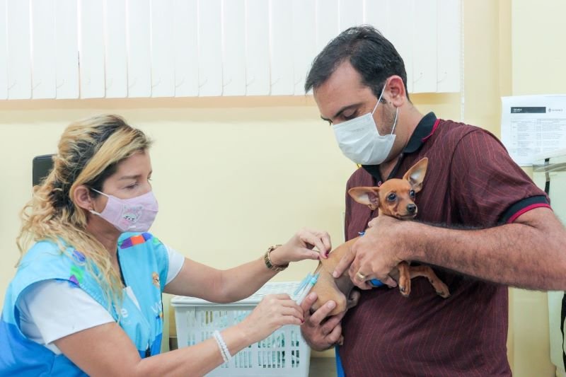 Vacinação é obrigatória para cães e gatos acima de três meses de idade e deve ser renovada anualmente - Foto: Divulgação / Semsa