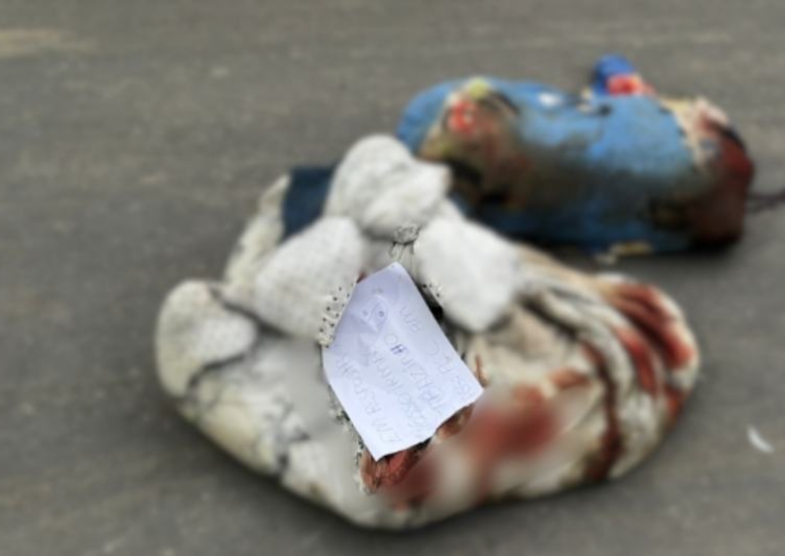 Corpo esquartejado foi encontrado na zona norte de Manaus (Foto: Reprodução/Redes sociais)