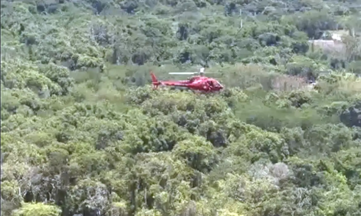 Área de mata em Guaratiba, na zona oeste do Rio, onde helicóptero caiu na manhã desta quarta-feira - Foto: CBMRJ/Divulgação