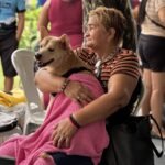 Castração gratuita de cães e gatos acontece no bairro Betânia