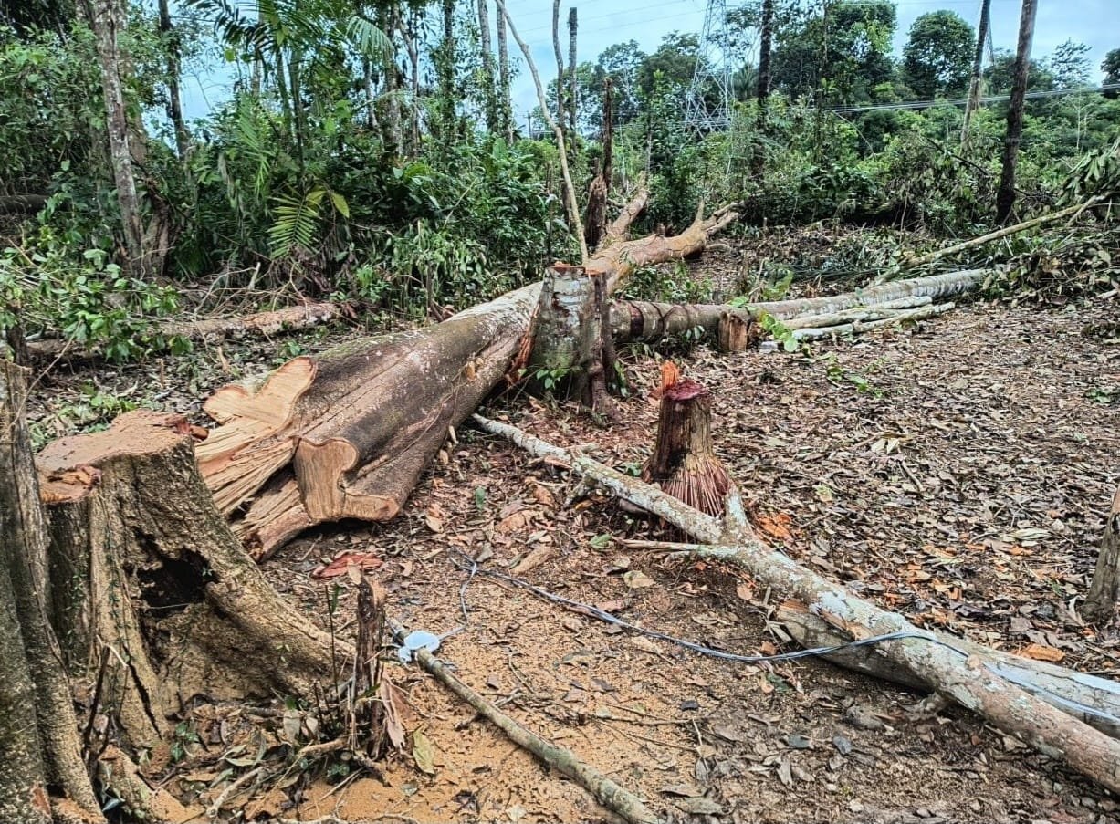 Operação Região Metropolitana 2026 desmobiliza ocupação irregular e embarga área desmatada em Itacoatiara