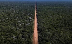 Justiça Federal suspende licitações de obras na BR-319 por 70 dias no Amazonas