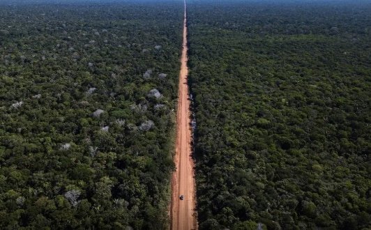 Justiça Federal suspende licitações de obras na BR-319 por 70 dias no Amazonas