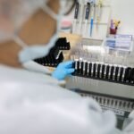 Patente reconhece método com composto avaliado contra malária resistente